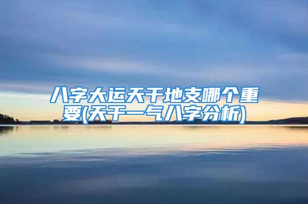 八字大运天干地支哪个重要(天干一气八字分析)