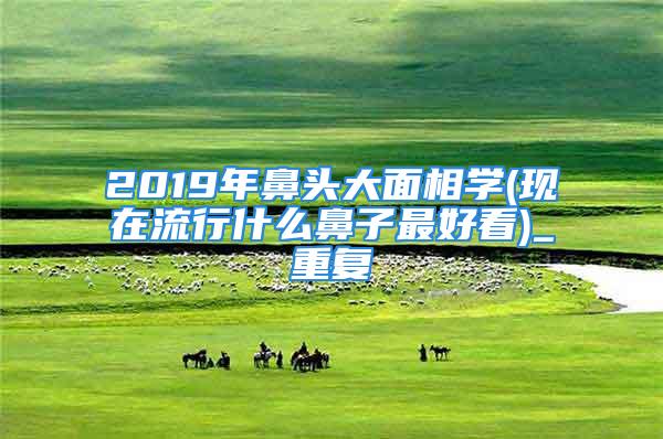 2019年鼻头大面相学(现在流行什么鼻子最好看)_重复