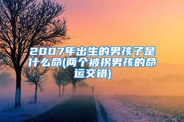 2007年出生的男孩子是什么命(两个被拐男孩的命运交错)