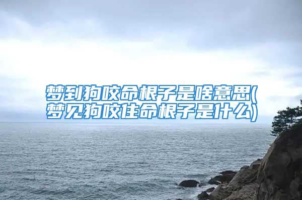 梦到狗咬命根子是啥意思(梦见狗咬住命根子是什么)