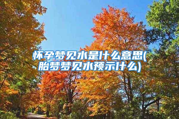 怀孕梦见水是什么意思(胎梦梦见水预示什么)