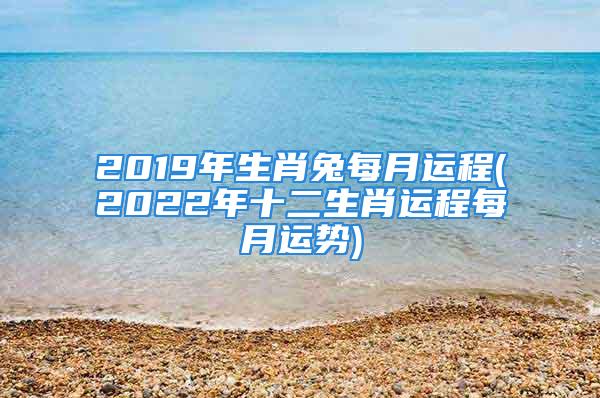 2019年生肖兔每月运程(2022年十二生肖运程每月运势)