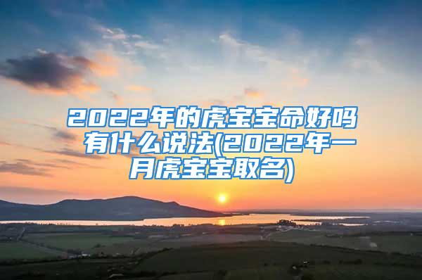 2022年的虎宝宝命好吗 有什么说法(2022年一月虎宝宝取名)