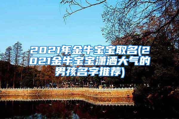 2021年金牛宝宝取名(2021金牛宝宝潇洒大气的男孩名字推荐)