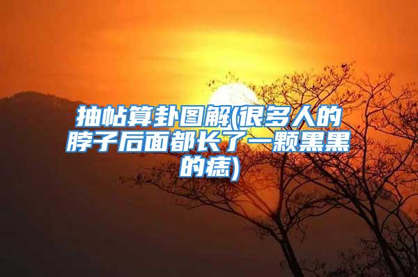 抽帖算卦图解(很多人的脖子后面都长了一颗黑黑的痣)