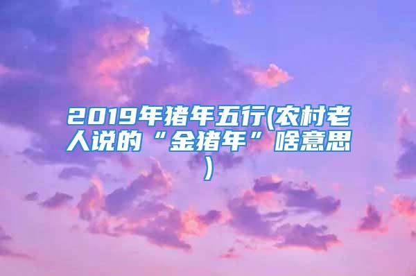 2019年猪年五行(农村老人说的“金猪年”啥意思)