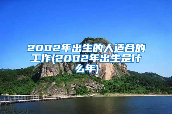 2002年出生的人适合的工作(2002年出生是什么年)