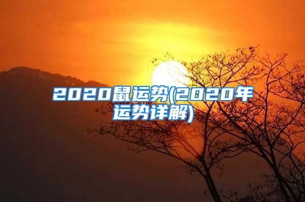 2020鼠运势(2020年运势详解)