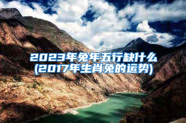 2023年兔年五行缺什么(2017年生肖兔的运势)