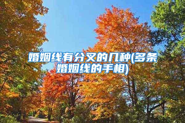 婚姻线有分叉的几种(多条婚姻线的手相)