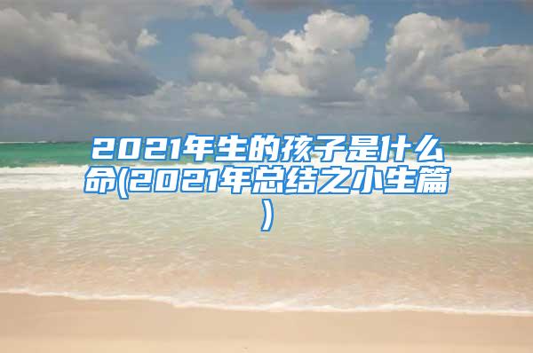 2021年生的孩子是什么命(2021年总结之小生篇)