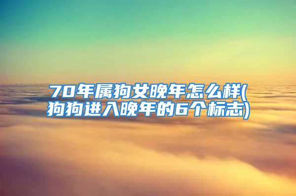 70年属狗女晚年怎么样(狗狗进入晚年的6个标志)