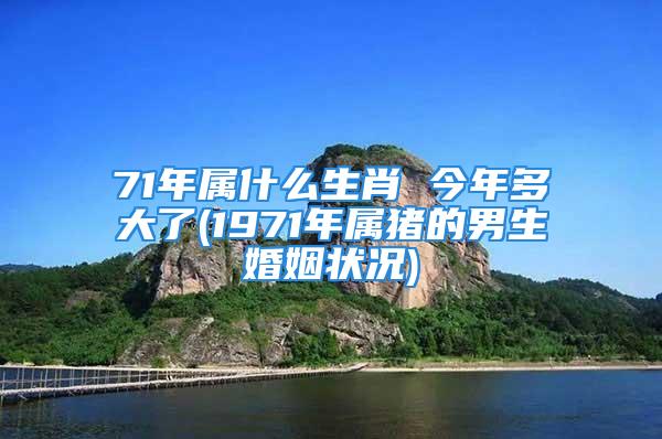 71年属什么生肖 今年多大了(1971年属猪的男生婚姻状况)