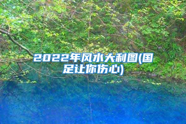 2022年风水大利图(国足让你伤心)