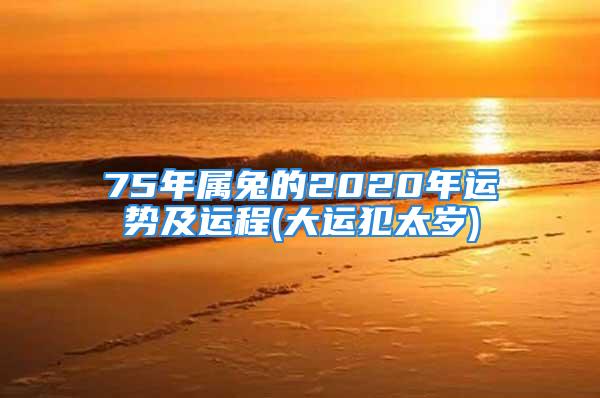 75年属兔的2020年运势及运程(大运犯太岁)