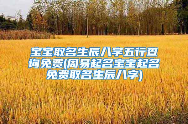 宝宝取名生辰八字五行查询免费(周易起名宝宝起名免费取名生辰八字)