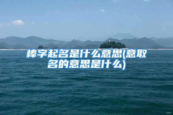 棒字起名是什么意思(意取名的意思是什么)