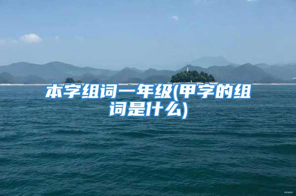 本字组词一年级(甲字的组词是什么)