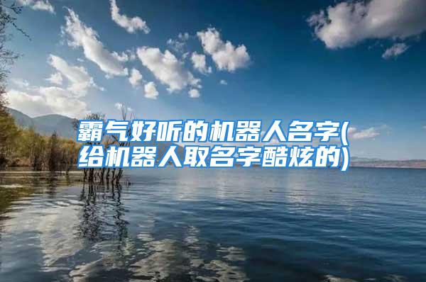 霸气好听的机器人名字(给机器人取名字酷炫的)