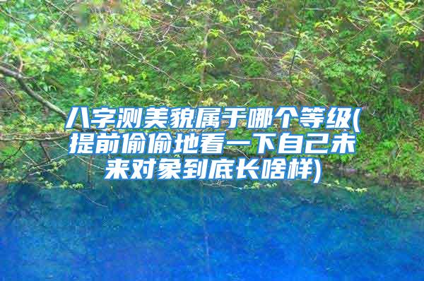 八字测美貌属于哪个等级(提前偷偷地看一下自己未来对象到底长啥样)