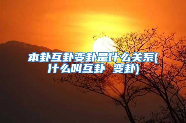 本卦互卦变卦是什么关系(什么叫互卦 变卦)