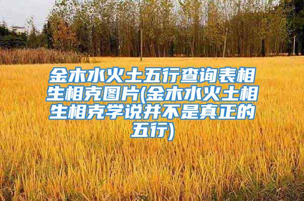 金木水火土五行查询表相生相克图片(金木水火土相生相克学说并不是真正的五行)