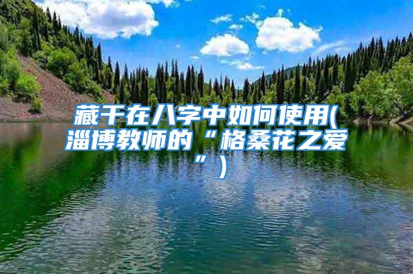 藏干在八字中如何使用(淄博教师的“格桑花之爱”)