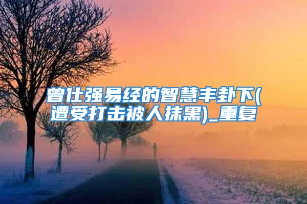 曾仕强易经的智慧丰卦下(遭受打击被人抹黑)_重复