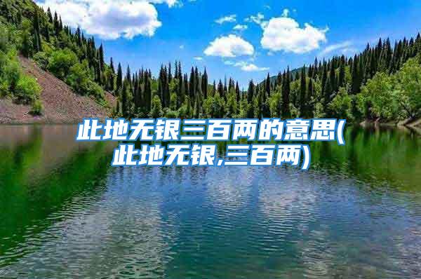 此地无银三百两的意思(此地无银,三百两)