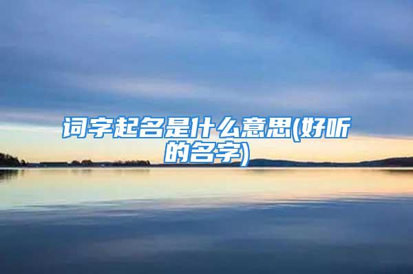 词字起名是什么意思(好听的名字)