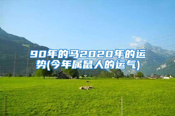 90年的马2020年的运势(今年属鼠人的运气)