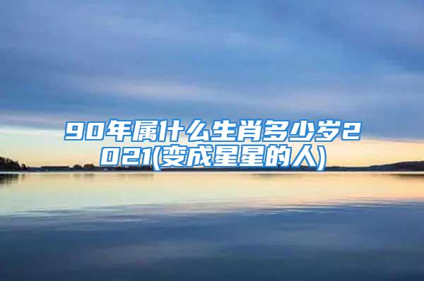 90年属什么生肖多少岁2021(变成星星的人)