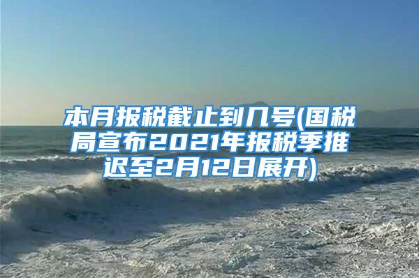 本月报税截止到几号(国税局宣布2021年报税季推迟至2月12日展开)