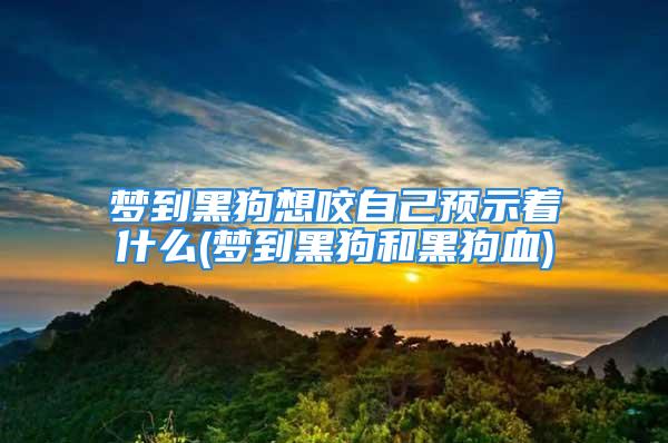 梦到黑狗想咬自己预示着什么(梦到黑狗和黑狗血)