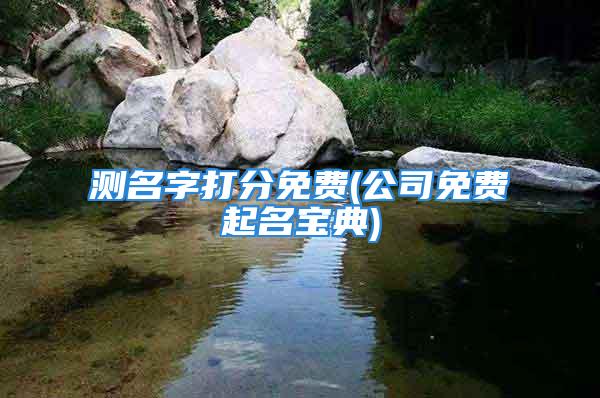 测名字打分免费(公司免费起名宝典)