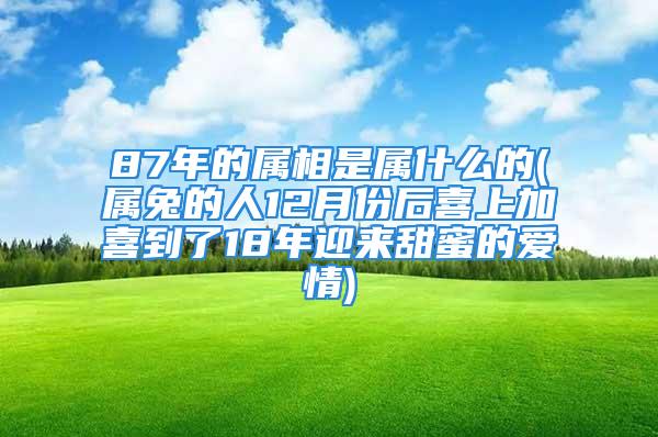 87年的属相是属什么的(属兔的人12月份后喜上加喜到了18年迎来甜蜜的爱情)