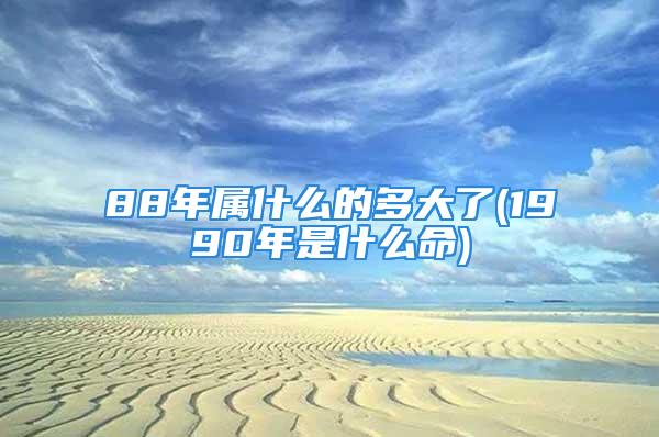 88年属什么的多大了(1990年是什么命)