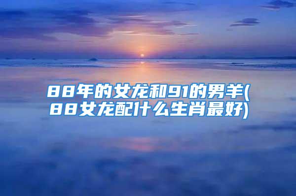 88年的女龙和91的男羊(88女龙配什么生肖最好)