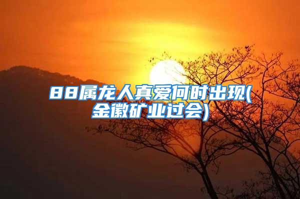 88属龙人真爱何时出现(金徽矿业过会)