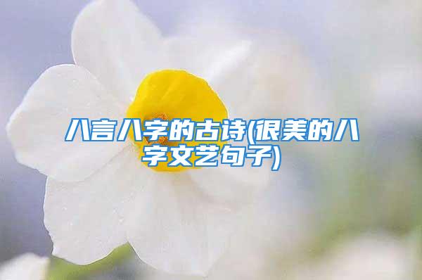 八言八字的古诗(很美的八字文艺句子)