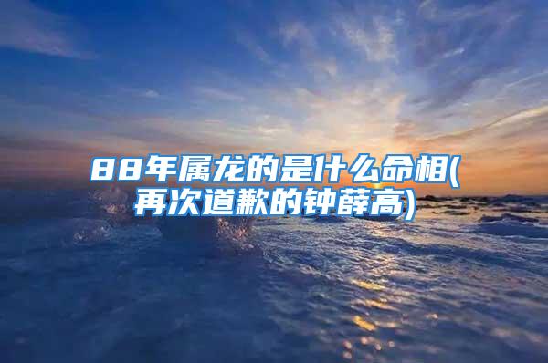 88年属龙的是什么命相(再次道歉的钟薛高)