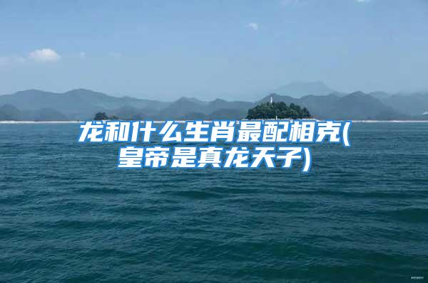 龙和什么生肖最配相克(皇帝是真龙天子)