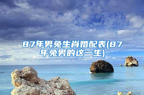 87年男兔生肖婚配表(87年兔男的这一生)