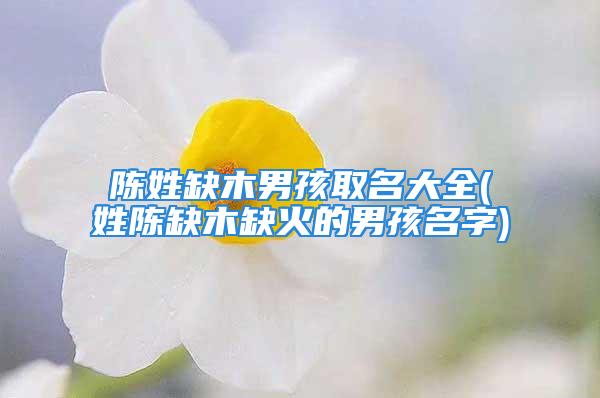 陈姓缺木男孩取名大全(姓陈缺木缺火的男孩名字)