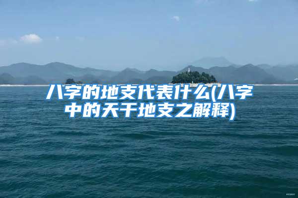 八字的地支代表什么(八字中的天干地支之解释)