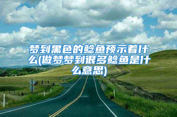 梦到黑色的鲶鱼预示着什么(做梦梦到很多鲶鱼是什么意思)