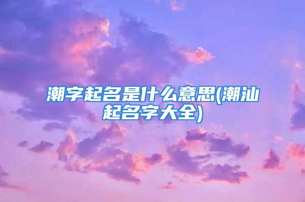 潮字起名是什么意思(潮汕起名字大全)