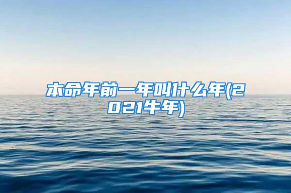 本命年前一年叫什么年(2021牛年)