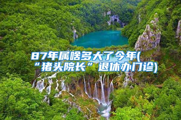 87年属啥多大了今年(“猪头院长”退休办门诊)