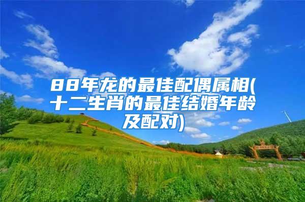 88年龙的最佳配偶属相(十二生肖的最佳结婚年龄及配对)